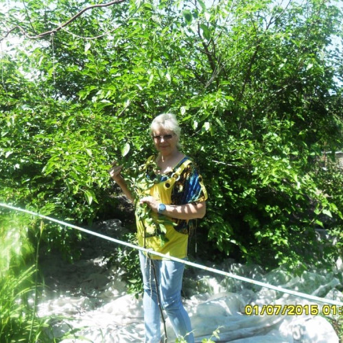 Елена Галкина